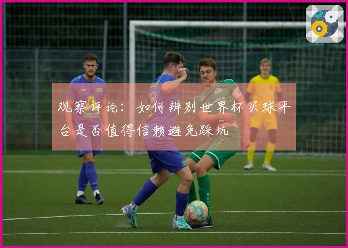 观察评论：如何辨别世界杯买球平台是否值得信赖避免踩坑