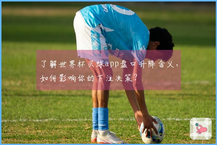 了解世界杯买球app盘口升降含义，如何影响你的下注决策？