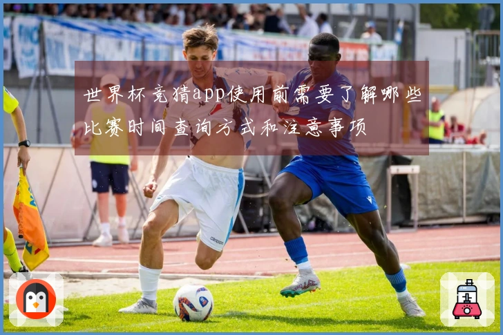 世界杯竞猜app使用前需要了解哪些比赛时间查询方式和注意事项