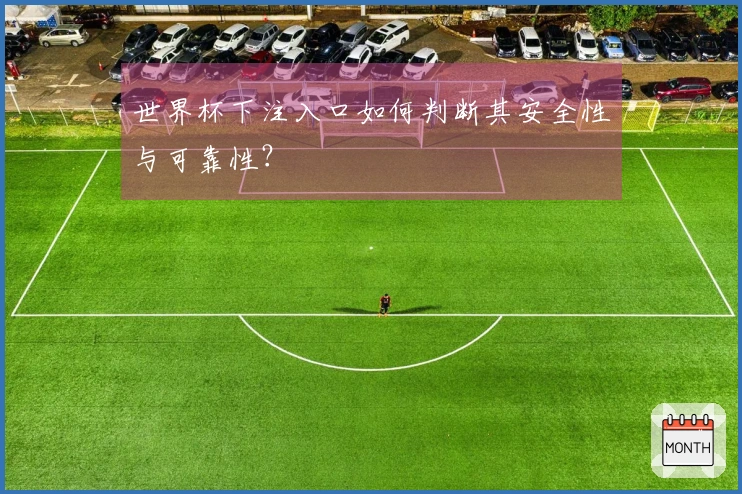 世界杯下注入口如何判断其安全性与可靠性？