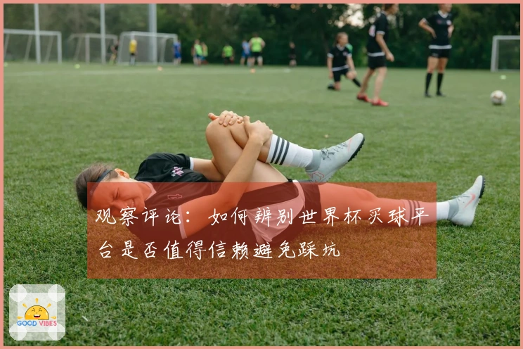 观察评论：如何辨别世界杯买球平台是否值得信赖避免踩坑