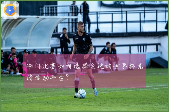冷门比赛如何选择合适的世界杯竞猜活动平台？