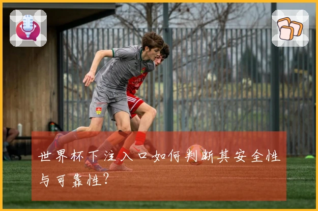 世界杯下注入口如何判断其安全性与可靠性？